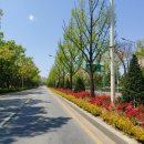 문화회관사거리 4 이미지