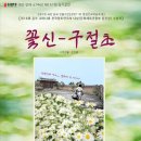 꽃신 구절초 이미지