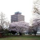 웨딩팰리스 이미지