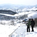 바글바글 이미지