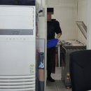 장보고장어 | 동대문 백강민물장어 백강청춘장어 합리적인 가격 장어 포장 후기