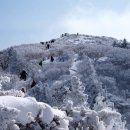 1월 2일(수) 번개산행/ 신년맞이 덕유산 향적봉 눈꽃산행. ♡20,000원. 하산주있음(두부김치찌개).37석리무진운행 이미지