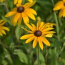 해오름 호스텔 이미지