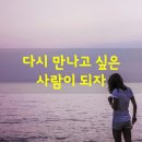 ❇치질도 합병증이 있다.➖욱신욱신"두컥 두컥 "귀에서 맥박소리가 난다". 🆘️시발노무색기(중국 고사성어) 이미지