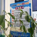 해운대 해변로 | 해운대회포장 맛집 친절함과 맛에 감동받은 수아아빠24시회마트