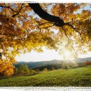 인천바오로병원 이미지