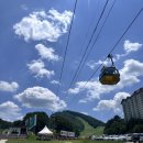 대형카프라자 | 강원도 평창 가볼만한곳 / 발왕산 케이블카, 스카이워크 너무 만족!