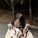 지민43 | 25.11월 일상