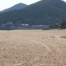 완도항구 이미지