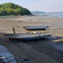 화개농원 이미지