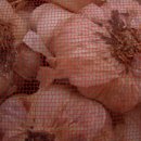 해풍을 먹고자라 건강한 남해 마늘 팝니다(사진참조) 이미지