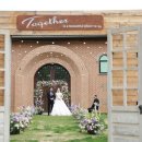 에스타시온 이미지