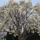 전라남도 농업박물관(주차장) 이미지