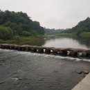 썬베네스트 이미지