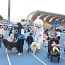 경산의 삽살개육종연구소 이미지