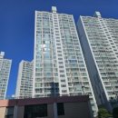 좌산초교 이미지