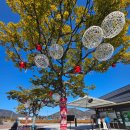 외간정글돔하우스 | [여행/거제] 거제 가족여행지 추천 '거제식물원 거제정글돔'｜이 가격에 이렇게 누릴 수 있다?
