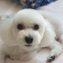 사랑우리愛동물병원