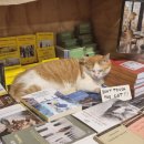 상죽청경로당 | 🇮🇹 이탈리아 여행기 근데이제 젤라또가 절반인: 베네치아 피렌체 로마 [25-1 웁살라 교환학생일기...