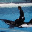 씨~월드 이미지