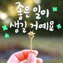 동해시-50 이미지