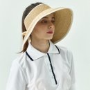 페르시안 캣 이미지