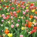 서경대학교 경영문화대학원 이미지