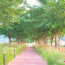 정동1교 이미지