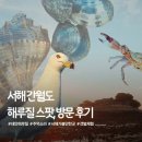 용기포 선착장 공중화장실 | 서산 간월도 해루질 스팟 일몰 전 갯바위에서 주먹소라 후기