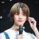 곰도리 이미지