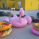 우도해바라기민박 이미지