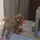 블랭크 테이스트
