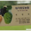 대가포도농원 이미지