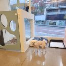 연두미용실 이미지