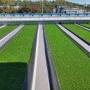 대구외국어고등학교 이미지