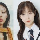 비비랑 이미지
