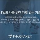 티그린 이미지