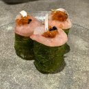주052 이미지