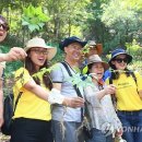 함양산삼사랑 이미지