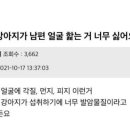 강아지가 남편 얼굴 핥는거 너무 싫어요 이미지