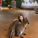 유니온로 이미지