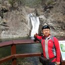 뚱모터스 이미지