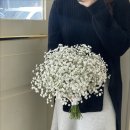 오르디자인 이미지