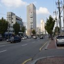 신성고등학교 버스정류장 앞 네이버블로그