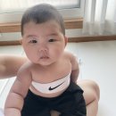아기랑 바디프로필(물개배에서 11자 복근만든 썰)