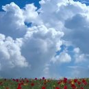 세진솔라 이미지