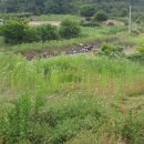 보성약품 이미지