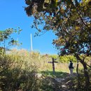 2호선 벡스코역 6번출구 | 해운대 장산을 오르고, 억새밭을 구경하다