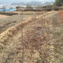 금강제2농장 이미지