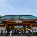 벙커비어 이미지